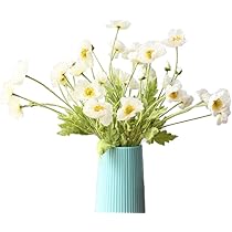 51VTjnYb+XL._AC_UL210_SR210,